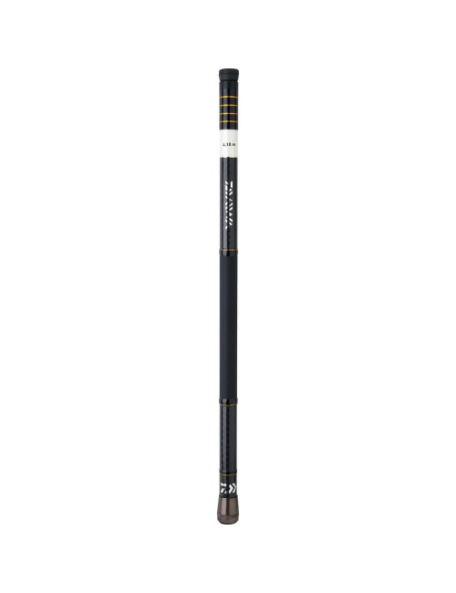 MANGO de Sacadera DAIWA ISO 4,10m