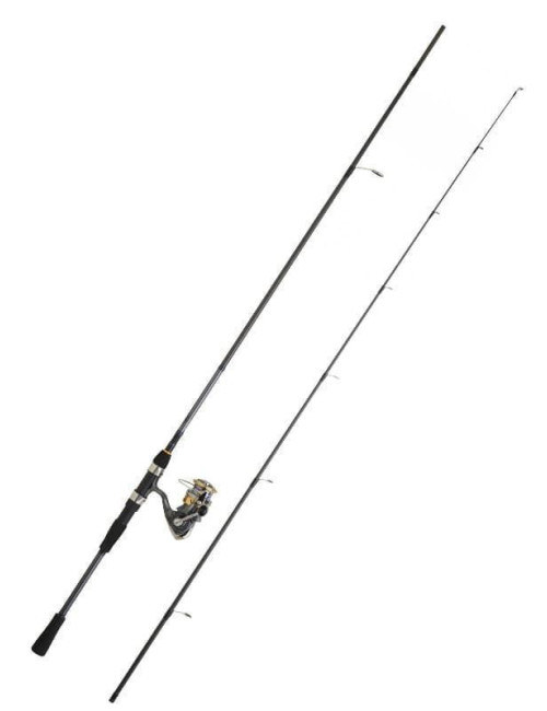 Combo DAIWA Caña Laguna 902 HFSCF + Cte Laguna 20LT 5000 CXH