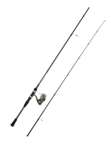 Combo DAIWA Caña Laguna 802 HFSCF + Cte LAG20LT4000CXH