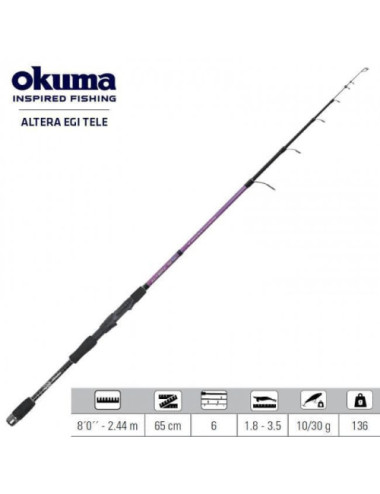 Caña OKUMA Altera Egi Tele 2.44m