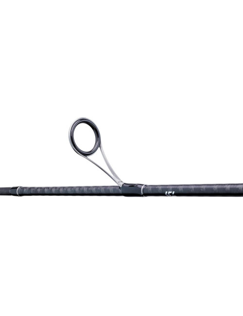 Caña DAIWA Legalis Seabass 962 HFS