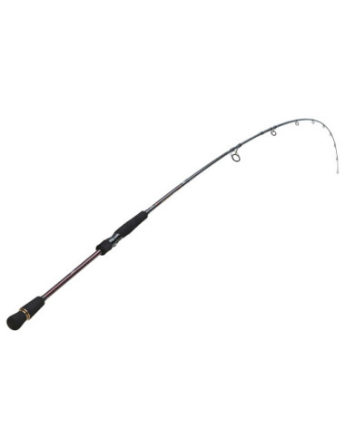 Caña DAIWA Infeet Seabass Rocky Shore 1002HXHFS