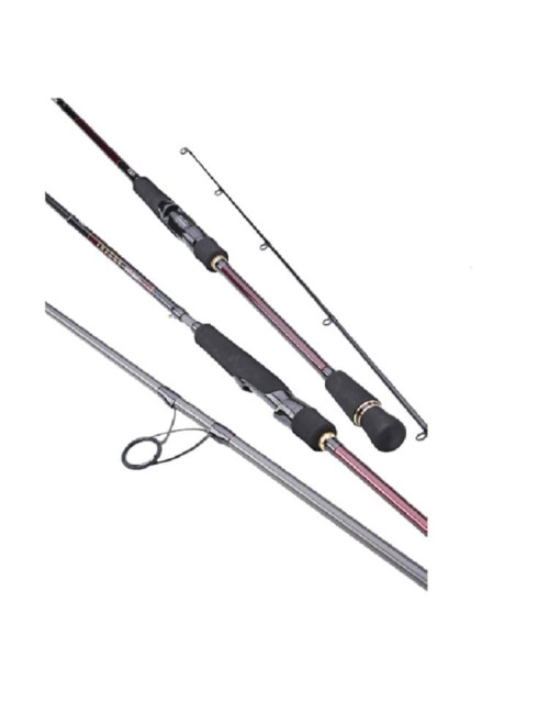 Caña DAIWA Infeet Seabass Rocky Shore 1002HXHFS