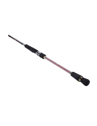 Caña DAIWA Infeet Seabass Rocky Shore 1002HXHFS