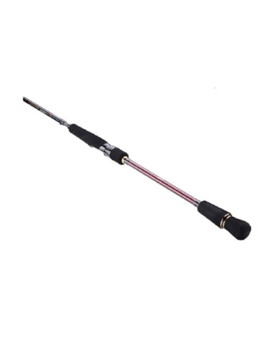 Caña DAIWA Infeet Seabass Distance Shot 902HFS