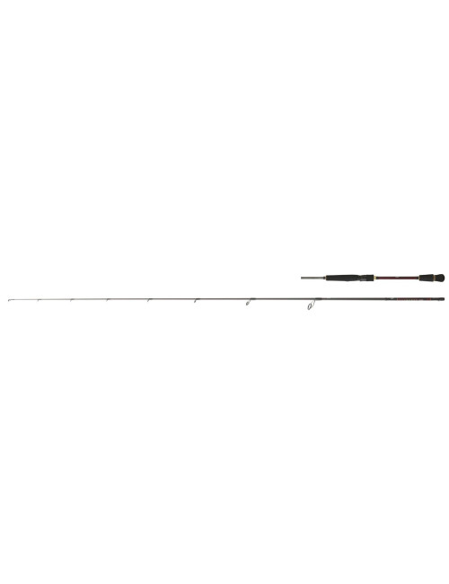 Caña DAIWA Infeet Seabass Distance Shot 902HFS