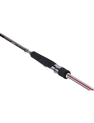 Caña DAIWA Infeet Seabass Distance II 802 HFSCF