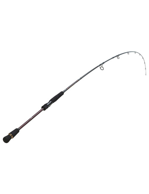 Caña DAIWA Infeet Seabass Distance II 802 HFSCF