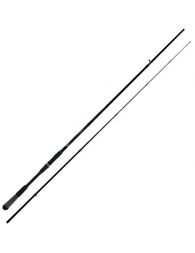 Caña Daiwa RX Lure Game 1002HXHFS-BF