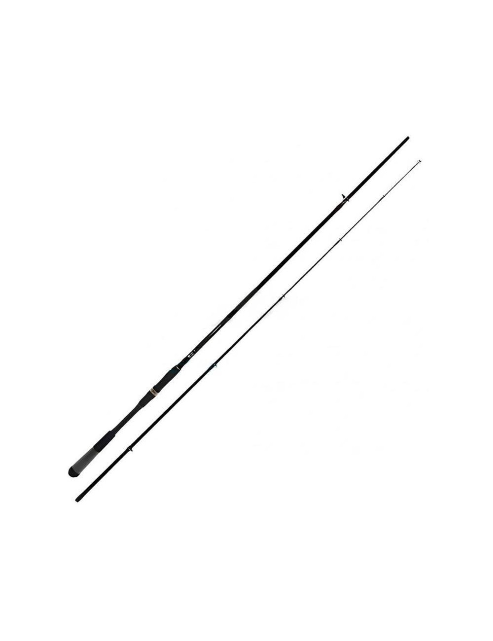 Caña Daiwa RX Lure Game 1002HXHFS-BF