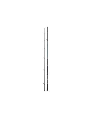 Caña Daiwa Caldia SB 1002 HXHFS 3.05