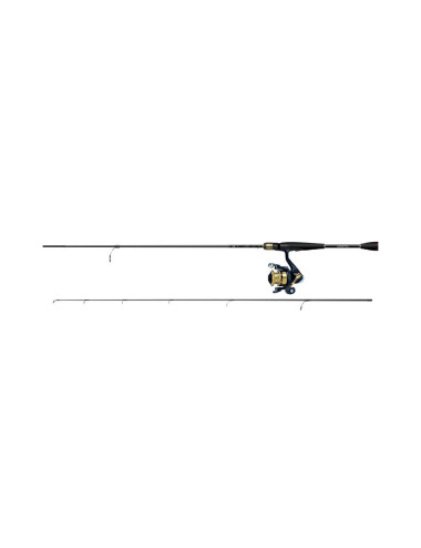 C0MBO CAÑA DAIWA RS602LFS + CTE RS1000C